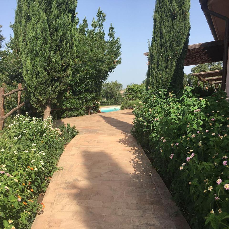 Tenuta Saracone Montalto di Castro Exterior photo